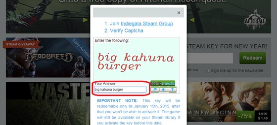 Вводим капчу в сплывающем окне внизу нажимаем кнопку