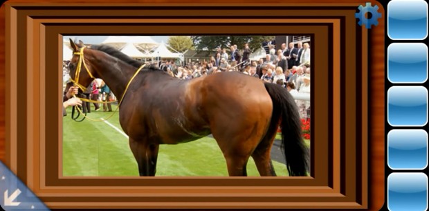 Прохождение уровней Can You Escape