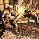 Dark-Souls-II--2