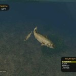 Bass-Pro-Shops-The-Strike-3