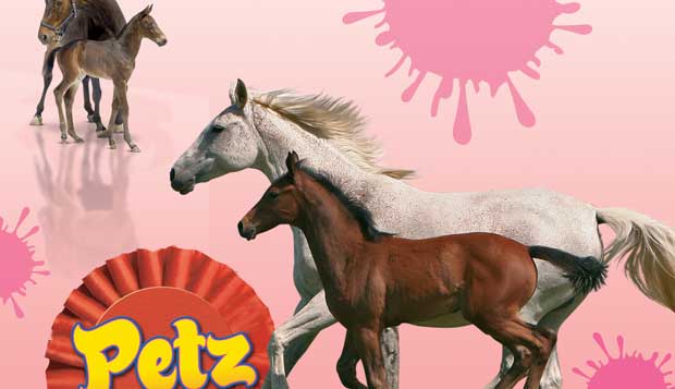 Horsez-Стань-чемпионом-0