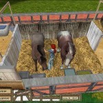 Lets-Ride-Championship-Dreams-1