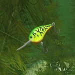 Rapala-Pro-Fishing-2