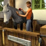 Riding-Star-3-Звезда-конкура-2