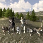 WolfQuest-1