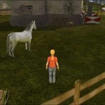 Лошадь-моей-мечты-2