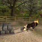 Secret-of-the-Magic-Crystals4