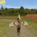 конный-клуб-моя-лошадка-4