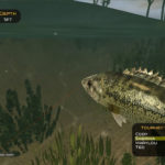 Bass-Pro-Shops-The-Strike