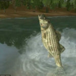 Bass-Pro-Shops-Trophy-Bass-2007