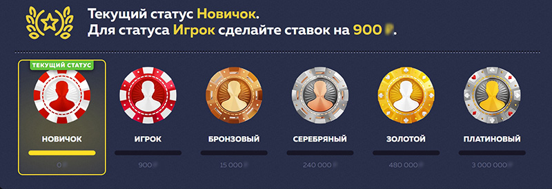 Шестиуровневая VIP-программа